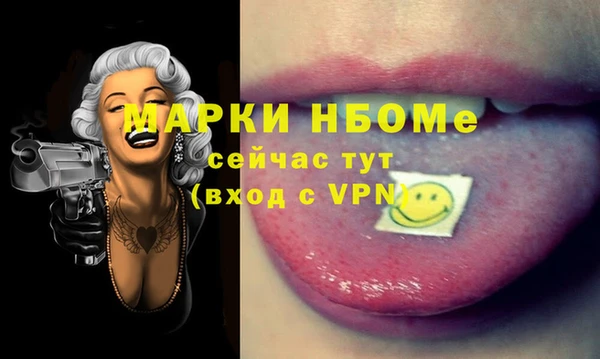 метадон Богданович