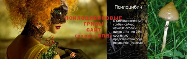 индика Белоозёрский