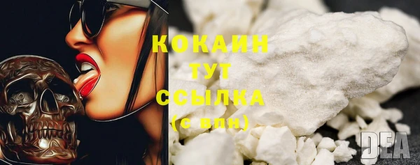 индика Белоозёрский