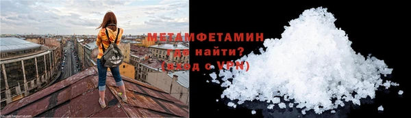 метадон Богданович