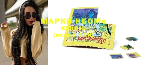 прущие грибы Карпинск