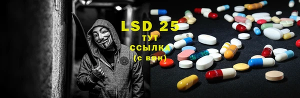 spice Белокуриха