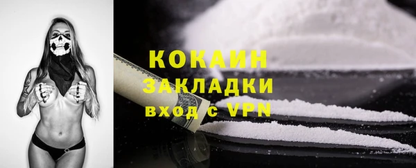 метадон Богданович
