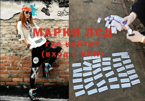 индика Белоозёрский
