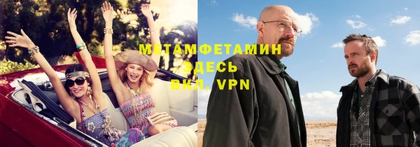 метадон Богданович